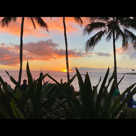 Meet your Posher, Kathrine - Picture 4 of 6